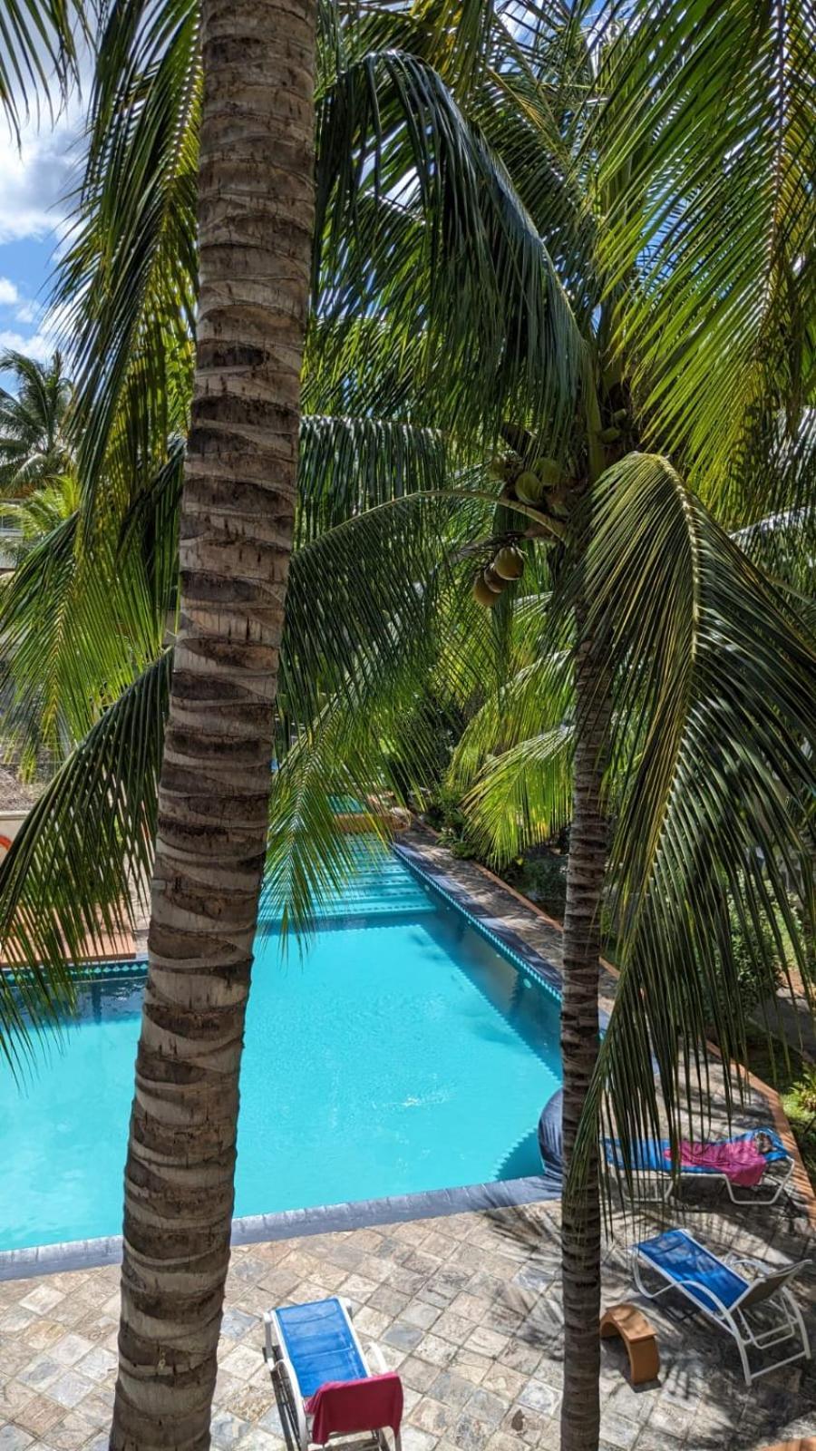 Charming Apartment Close To Beach & Amenities - Appartement De Charme Proche Plage Flic-en-Flacq Eksteriør billede