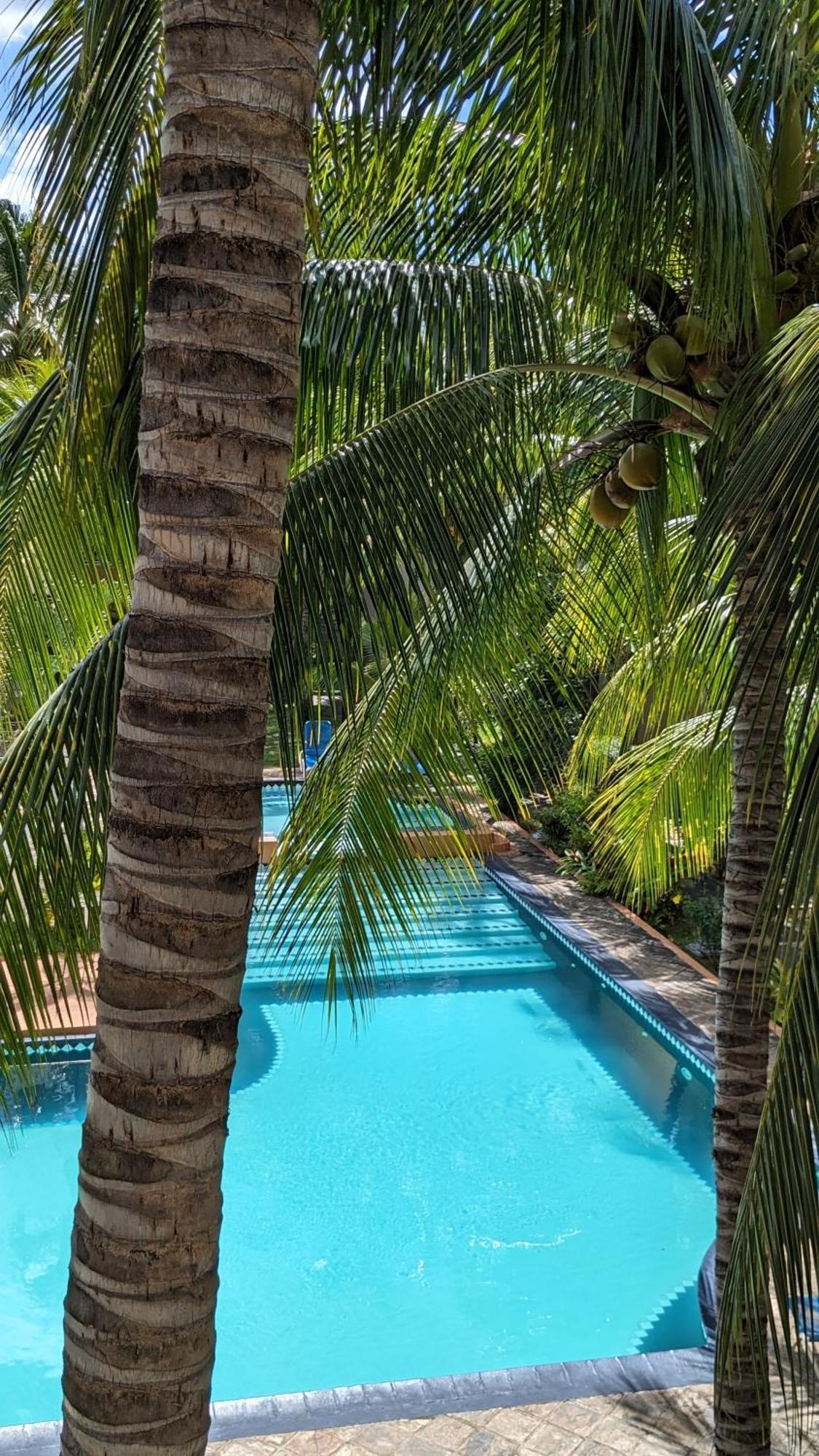 Charming Apartment Close To Beach & Amenities - Appartement De Charme Proche Plage Flic-en-Flacq Eksteriør billede
